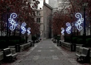 Виды светодиодных уличных консолей и их применение